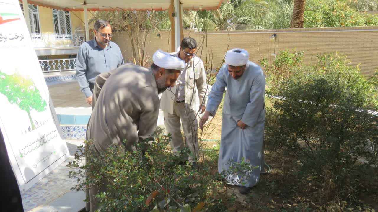 کاشت 3 اصله درخت مثمر در محل اداره تبلیغات اسلامی شهرستان طبس